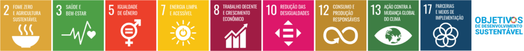 imagem com os objetivos de desenvolvimento sustentável (ODS): 2, 3, 5, 7, 8, 10, 12, 13 e 17