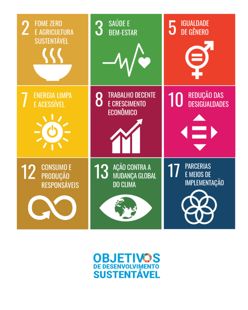 imagem com os 17 objetivos de desenvolvimento sustentável